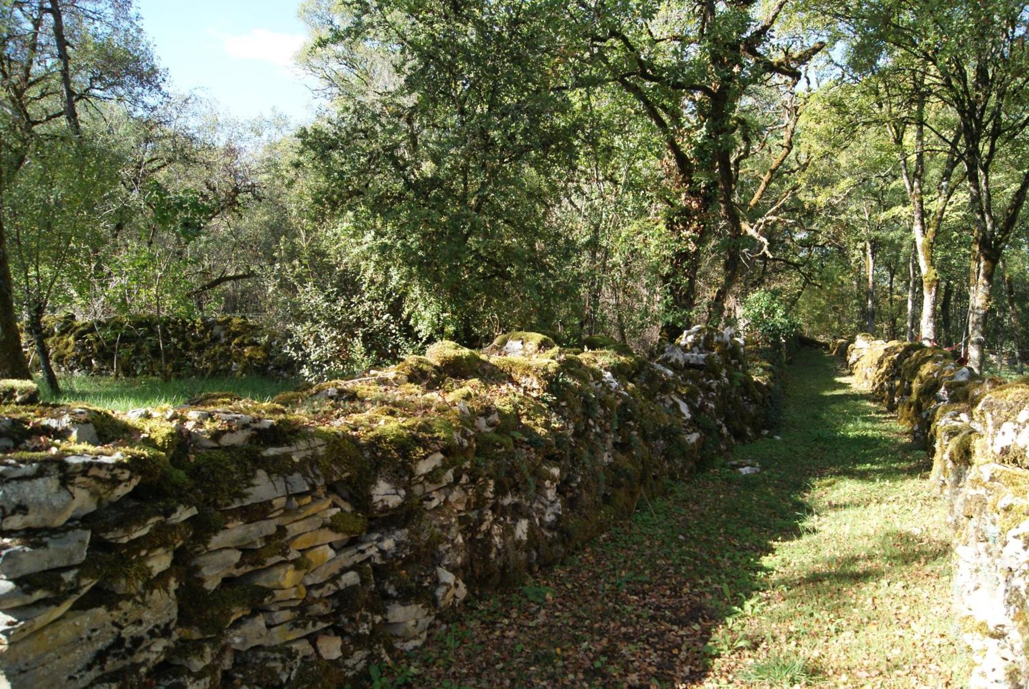 Le Domaine De La Claire Fontaine Gites -Chambres D'Hotes Montvalent Eksteriør billede